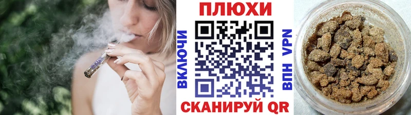 darknet как зайти Злынка ГАШ ice o lator