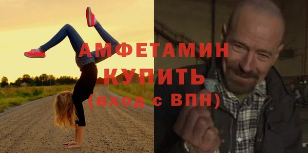 индика Волоколамск