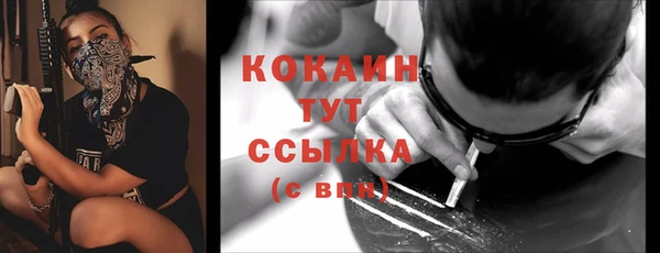 индика Волоколамск