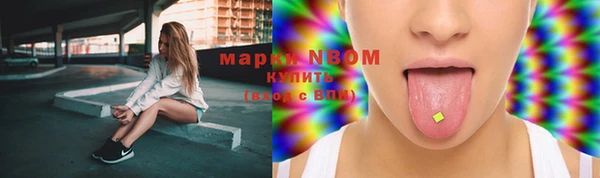 индика Волоколамск