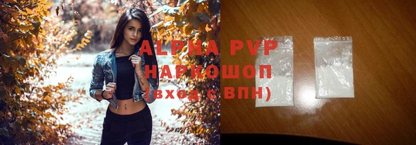 индика Волоколамск