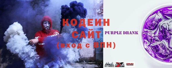 индика Волоколамск