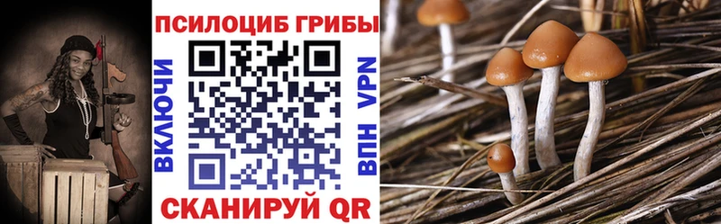 Галлюциногенные грибы мухоморы  Злынка 