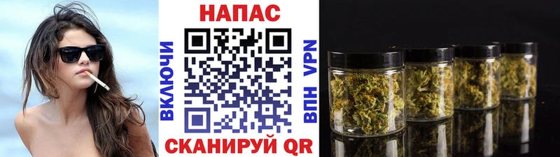 Бошки марихуана THC 21%  OMG онион  Злынка 